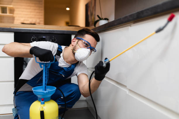 Best Affordable Pest Control Services  in Henderson, TN