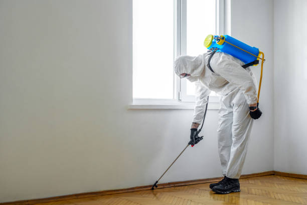 Pest Control Cost in Henderson, TN