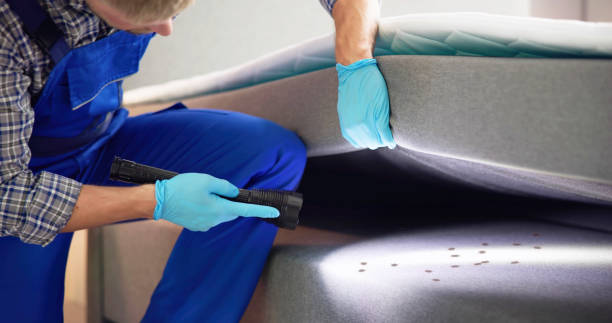 Henderson, TN Pest Control Company