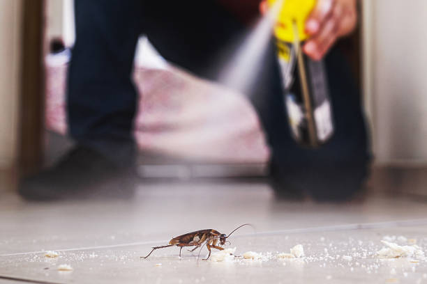 Best Exterminator Services  in Henderson, TN