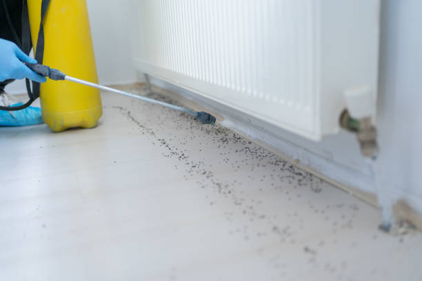 Pest Control for Restaurants in Henderson, TN