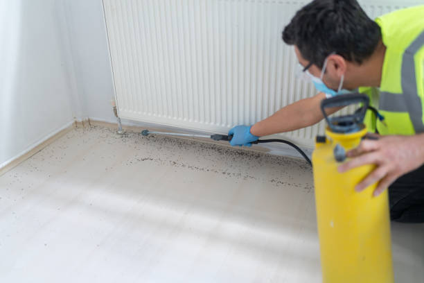 Best Termite Control Services  in Henderson, TN